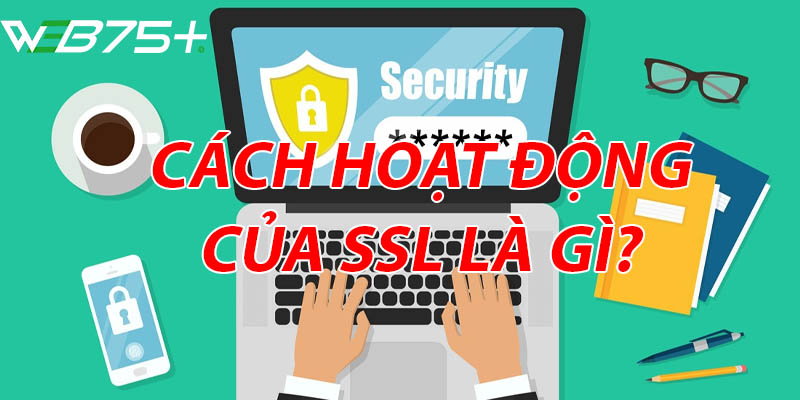 Cách hoạt động của bảo mật SSL là gì?