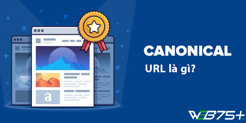 Canonical URL là gì?