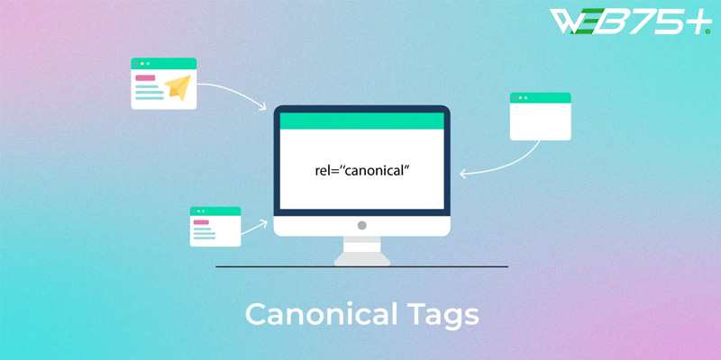 Quy tắc để sử dụng thẻ canonical URL là gì?