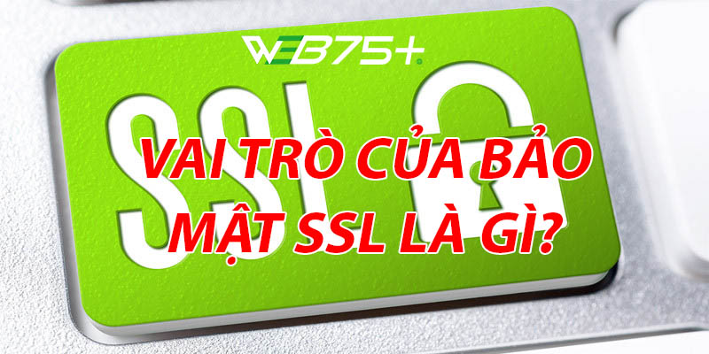 Vai trò của bảo mật SSL là gì?