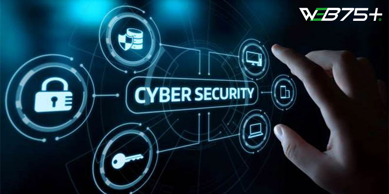 Vai trò của Cyber Security là gì?