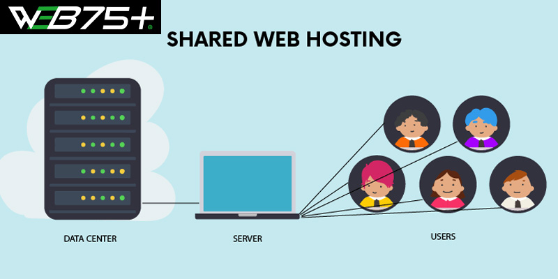 Shared Hosting 