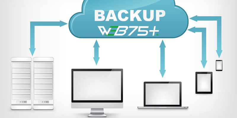 Tại sao cần backup website WordPress?