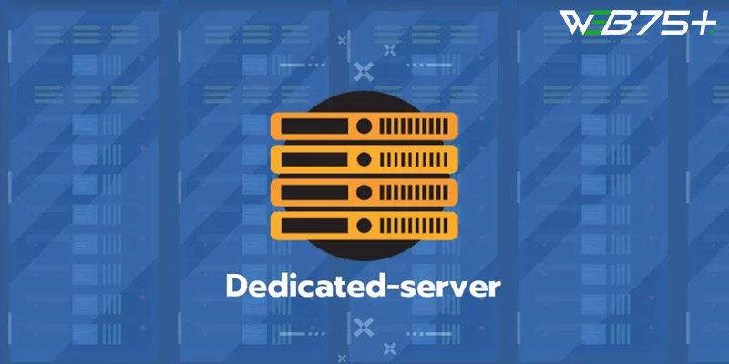 khám phá khái niệm Dedicated Server