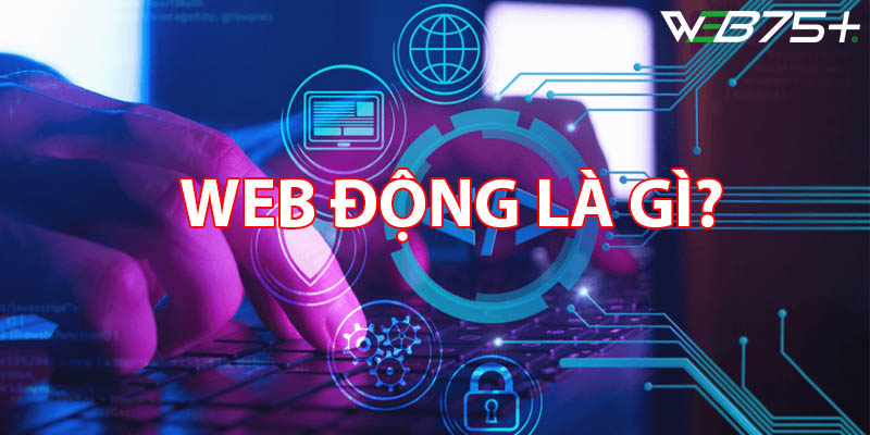 Khái niệm Web động