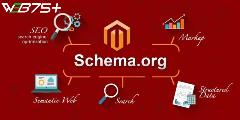 Vai trò của schema là gì