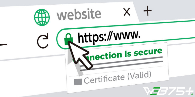 Bảo mật SSL Là Gì ? Tầm Quan Trọng Của Nó Đối Với Website