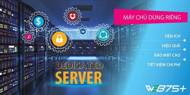 Dedicated Server Là Gì? Khám Phá Về Ưu Và Nhược Điểm Của Dedicated Server