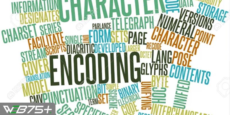 Encode Là Gì-Tầm Quan Trọng Của Encode Trong Đời Sống Công Nghệ