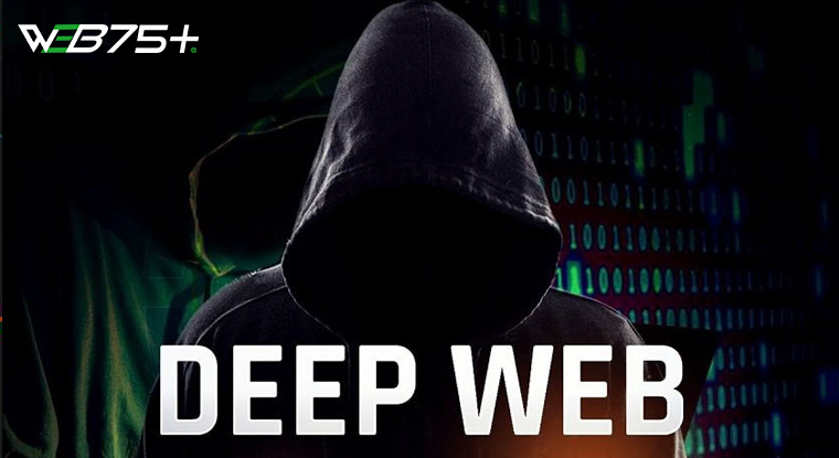 Deep Web Là Gì? Tổng Hợp Thông Tin Về Deep Web Bạn Cần Biết